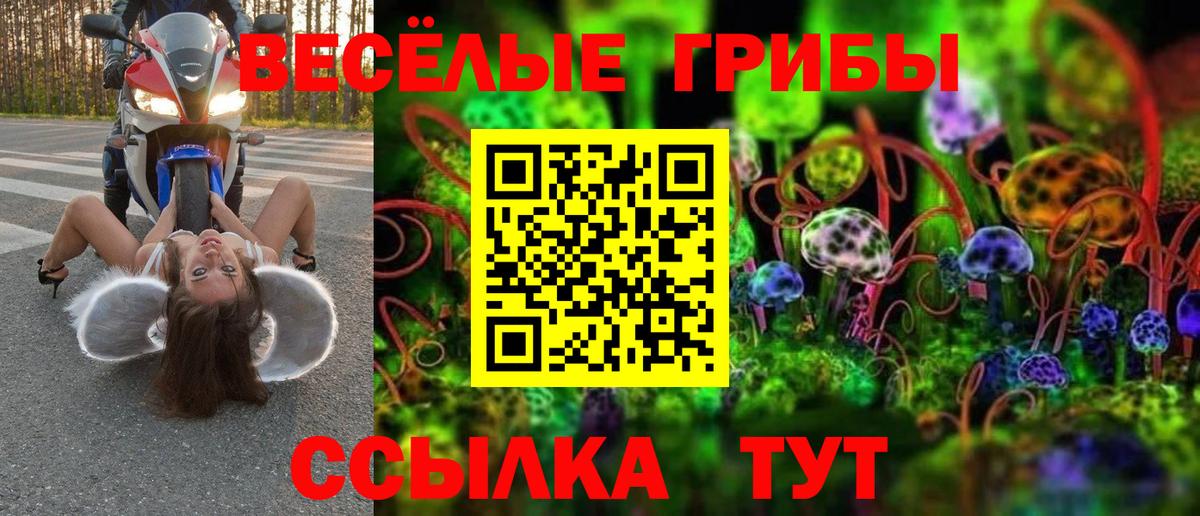 Псилоцибиновые грибы мухоморы  Галлюциногенные грибы прущие грибы  Полысаево  Вход с VPN 